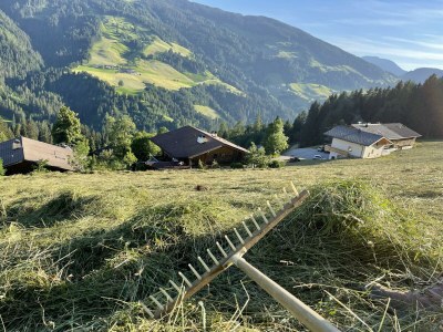 Apartment Ferienwohnung VELI - Outdoor photo 56