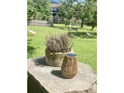 Apartment Apartment Villa Riedhart - Outdoor photo 4