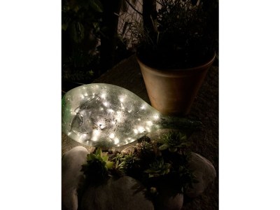 Apartment Apartment Villa Riedhart - Outdoor photo 9