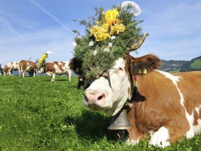 Apartment Appartment Nr. 4 - Outdoor photo 39