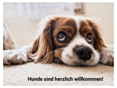 Apartment Appartment Nr. 4 - Features photo 45