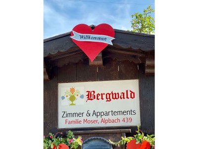 Apartment Appartement Nr. 5 "Alpbach" - Outdoor photo 10