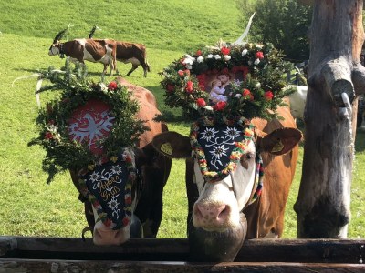 Apartment Appartement Nr. 5 "Alpbach" - Outdoor photo 14