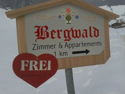 Apartment Appartement Nr. 5 "Alpbach" - Outdoor photo 18