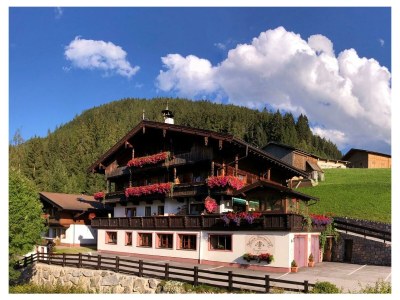 Apartment Appartement Nr. 5 "Alpbach" - Outdoor photo 21