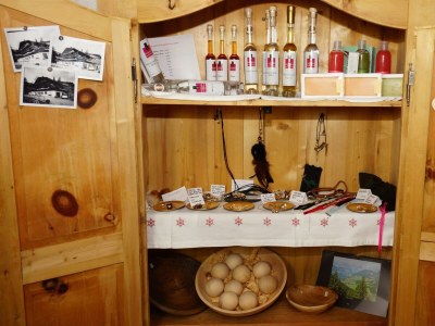 Apartment Appartement Nr. 5 "Alpbach" - Outdoor photo 29