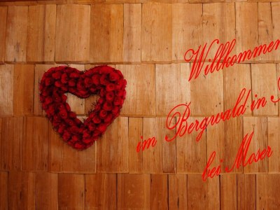 Apartment Appartement Nr. 5 "Alpbach" - Outdoor photo 35