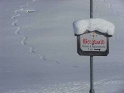 Apartment Appartement Nr. 5 "Alpbach" - Outdoor photo 36