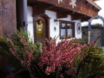 Apartment Appartement Nr. 5 "Alpbach" - Outdoor photo 39