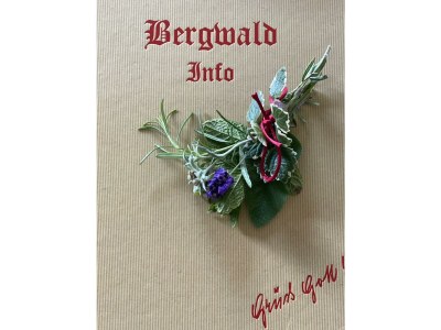 Apartment Appartement Nr. 5 "Alpbach" - Outdoor photo 45