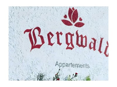 Apartment Appartement Nr. 5 "Alpbach" - Outdoor photo 48