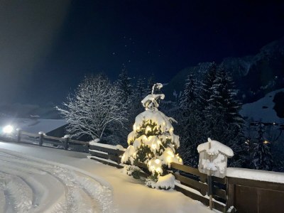 Apartment Appartement Nr. 5 "Alpbach" - Outdoor photo 50