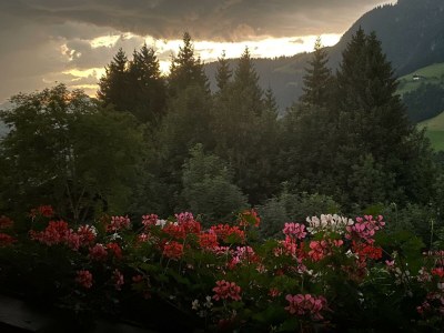 Apartment Appartement Nr. 5 "Alpbach" - Outdoor photo 52