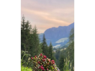 Apartment Appartement Nr. 5 "Alpbach" - Outdoor photo 58