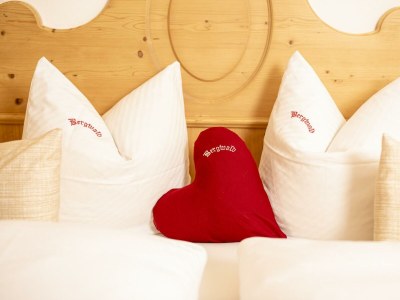 Apartment Appartement Nr. 5 "Alpbach" - Features photo 62