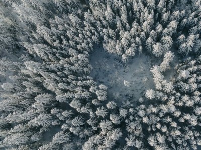 Apartment Ferienwohnung Mountain - Outdoor photo 6