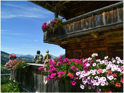 Apartment Ferienwohnung Mountain - Outdoor photo 15