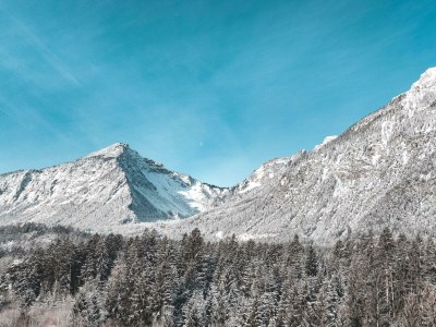 Apartment Ferienwohnung Mountain - Features photo 40