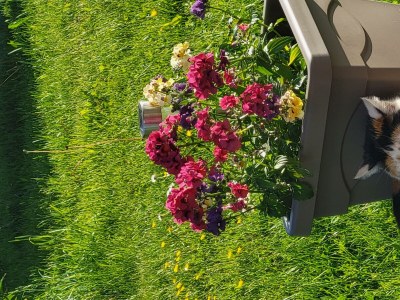 Holiday room JUWEL - Outdoor photo 29