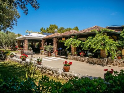 Mobile home Resort Luxury Mobile Home (4+1) view Marina - Environment photo 32