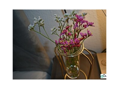 Apartment Ferienwohnung Alpinstar - Features photo 19