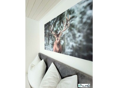 Apartment Ferienwohnung Alpinstar - Features photo 20