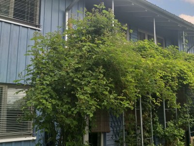 Apartment Bei Ludwig in Oberstaufen - Apartment