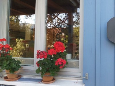 Apartment Bei Ludwig - Features photo 17