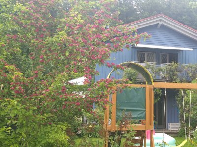 Apartment Bei Ludwig - Features photo 25