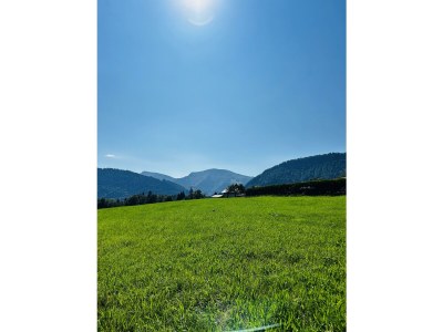 Apartment Ferienwohnung Pflum - Outdoor photo 12