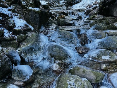 Apartment Ferienwohnung Pflum - Features photo 17
