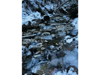 Apartment Ferienwohnung Pflum - Features photo 18