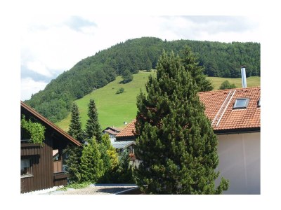 Apartment Ferienwohnung Alex und Sandra - Outdoor photo 8