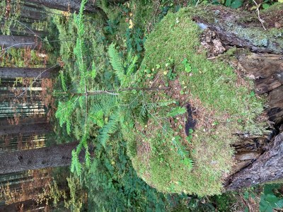 Apartment Staufen Herz - Outdoor photo 20