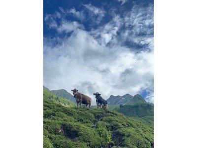 Apartment Allgäu Traum - Outdoor photo 19