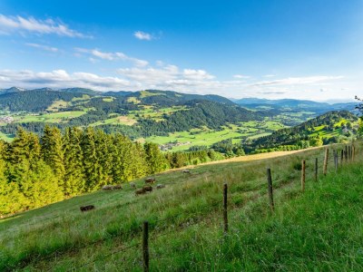 Apartment Ferienwohnung Heidi - Outdoor photo 30