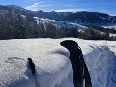 Apartment Staufen Apartment - Outdoor photo 15