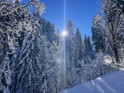 Apartment Staufen Apartment - Outdoor photo 18