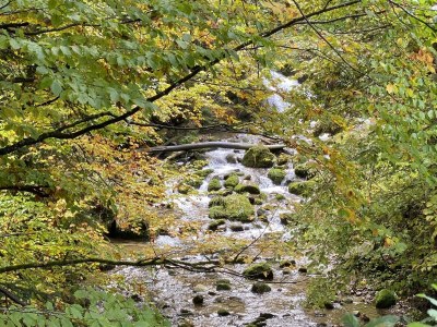 Apartment Berg & Tal - Outdoor photo 23