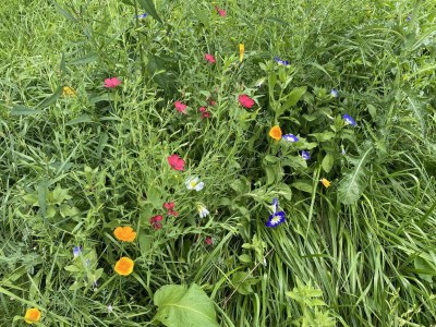 Apartment Berg & Tal - Outdoor photo 37