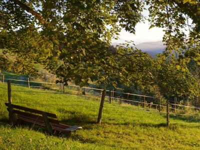 Apartment Ferienwohnung Anna Maria - Outdoor photo 18