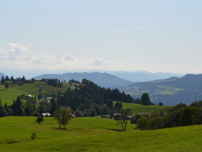 Apartment Ferienwohnung Anna Maria - Outdoor photo 19