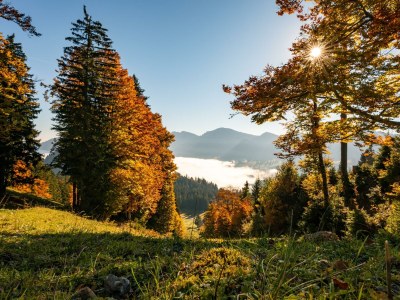 Apartment Rothenfels - Outdoor photo 11