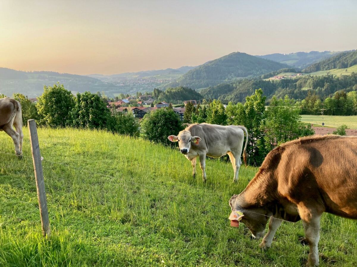 Apartment Hummelschlupf