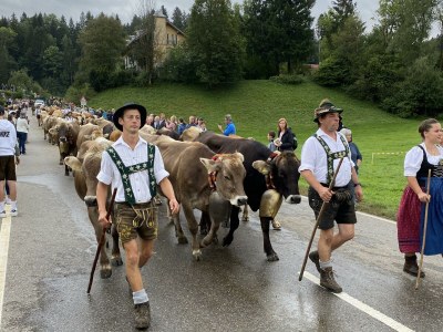 Apartment Ferienwohnung Panorama 111 - Features photo 27