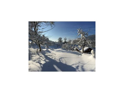 Apartment Ferienwohnung 2 - Outdoor photo 31