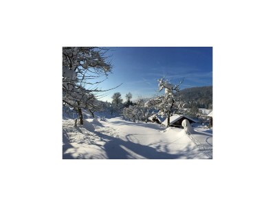 Apartment Ferienwohnung 2 - Outdoor photo 42