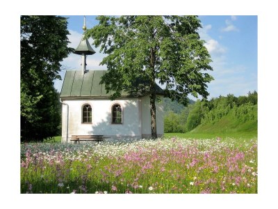 Apartment Ferienwohnung 2 - Features photo 61