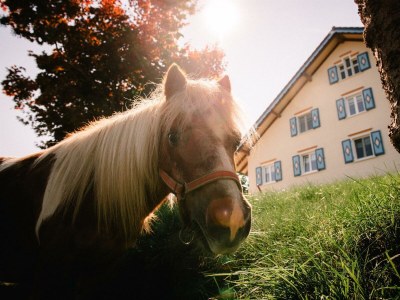 Apartment Kälberweide (Wohnung 4) - Outdoor photo 15