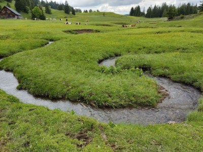 Apartment Ediths Nest - Outdoor photo 24